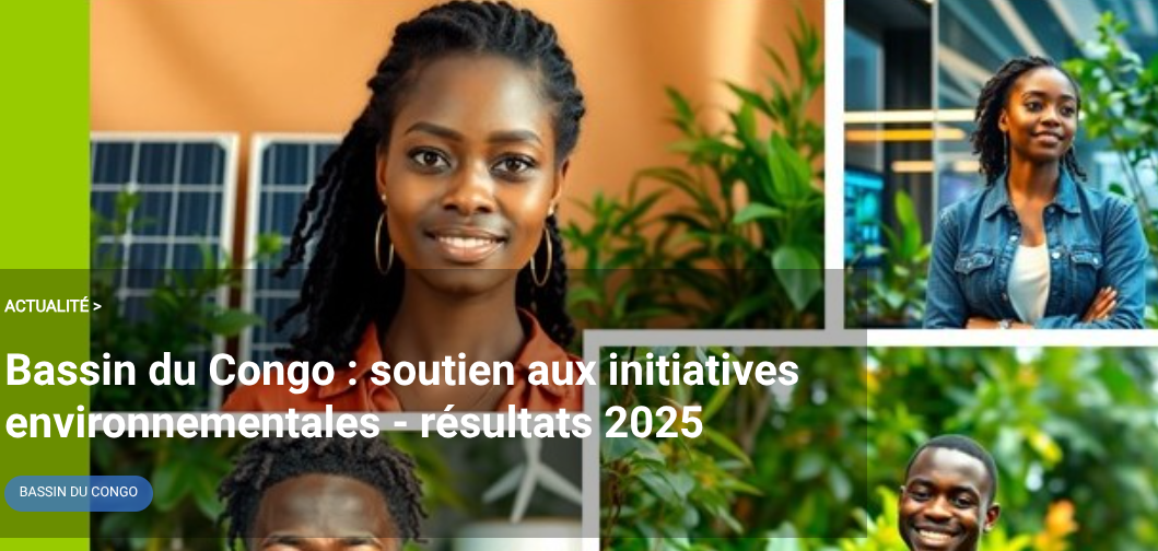 Equatorial Guinea: Dreams Hub Among the Selected by OIF to Drive Green Innovation in the Congo Basin