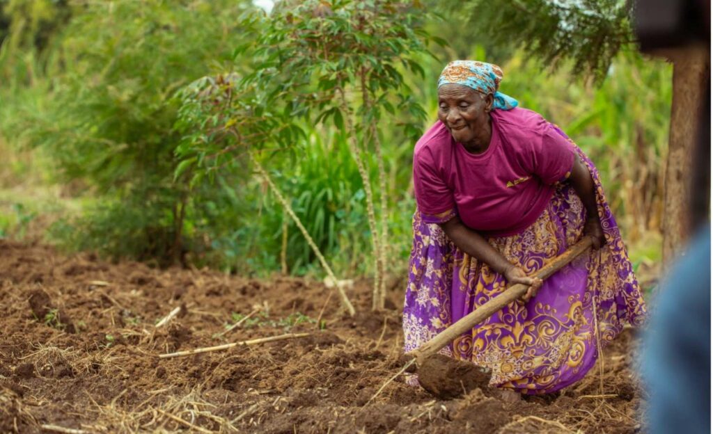 Kenya: a business blossoming from the soil