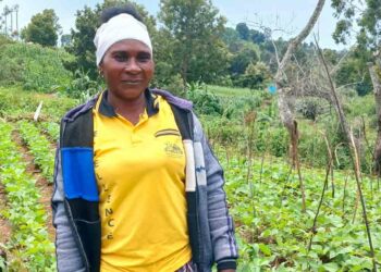 In Tanzania, the Kibuka community has improved their household economy by more than 50%.