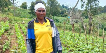 In Tanzania, the Kibuka community has improved their household economy by more than 50%.