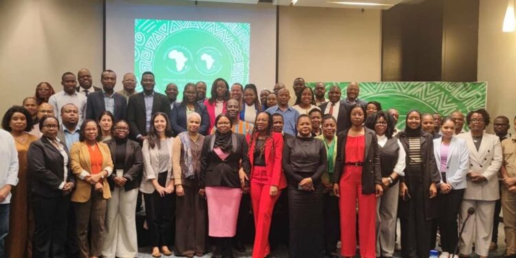 Mozambique strengthens sustainability of development projects through new training