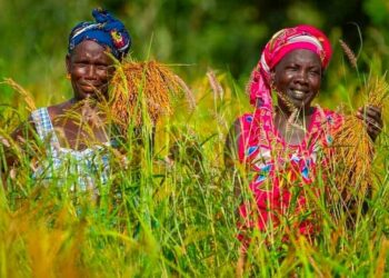$200 Million boost to transform agriculture and food security in Eastern and Southern Africa