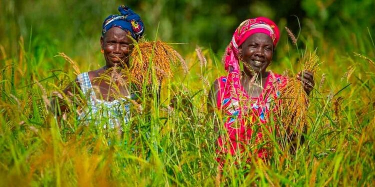 $200 Million boost to transform agriculture and food security in Eastern and Southern Africa