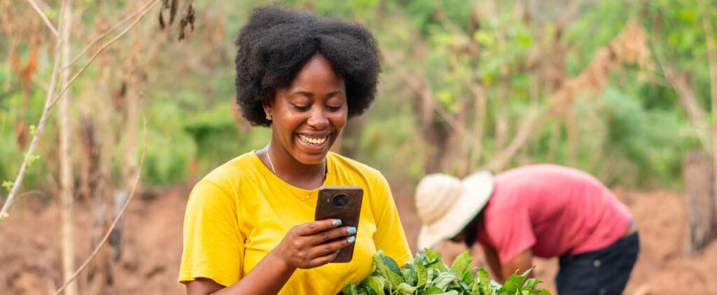 Nigeria's Wheat Success: Program Lifts Farmers, Cuts Imports 