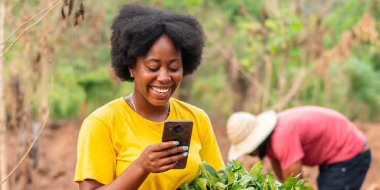 Nigeria's Wheat Success: Program Lifts Farmers, Cuts Imports 