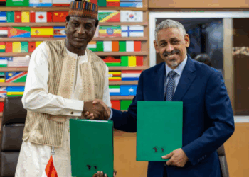 Niger launches program to expand electricity access and renewable energy
