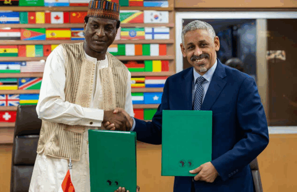 Niger launches program to expand electricity access and renewable energy