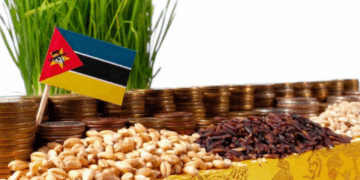 Mozambique bets on local rice to empower 30,000 smallholder farmers