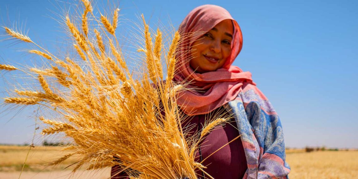 Sudan: Displaced women turn crisis into thriving agricultural ventures