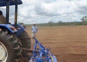 Ghana transforms its agriculture thanks to Joshua Toatoba’s Model