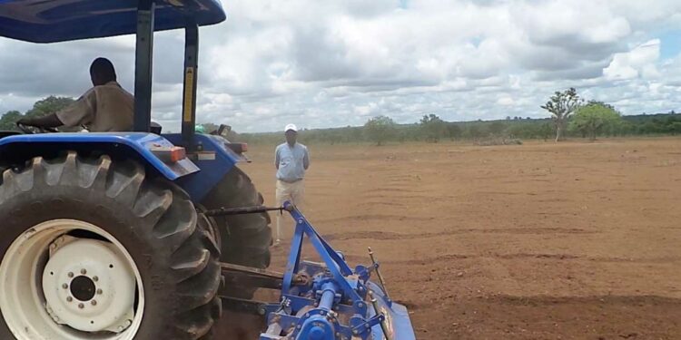 Ghana transforms its agriculture thanks to Joshua Toatoba’s Model