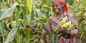 Moroccan AgriTech Startup Sand to Green Secures $50K to Scale Across Africa