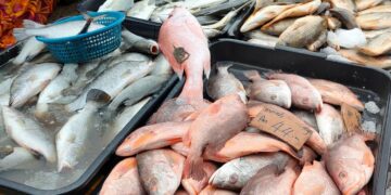 São Tomé and Príncipe Advances Blue Economy with $22 Million AfDB Grant