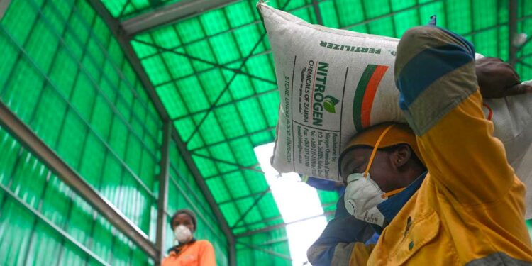 From Crisis to Capacity, Zambia’s Fertilizer Shift Offers a Blueprint for Africa