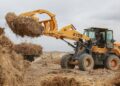 China’s Desertification Fight Offers Global Lessons as UN Conference Opens
