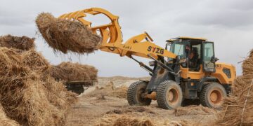 China’s Desertification Fight Offers Global Lessons as UN Conference Opens