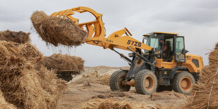 China’s Desertification Fight Offers Global Lessons as UN Conference Opens
