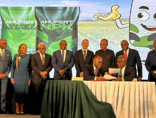 Angola Bets on Fertilizer Production as Afreximbank Commits $1.4 Billion to AMUFERT Plant