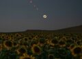 Rare total solar eclipse captivates millions across Europe