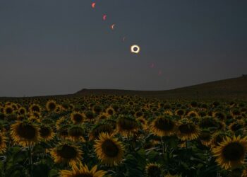Rare total solar eclipse captivates millions across Europe