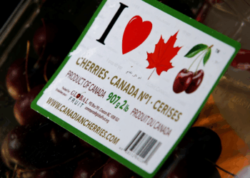 Canada Challenges US Tariffs and Puts the WTO to the Test