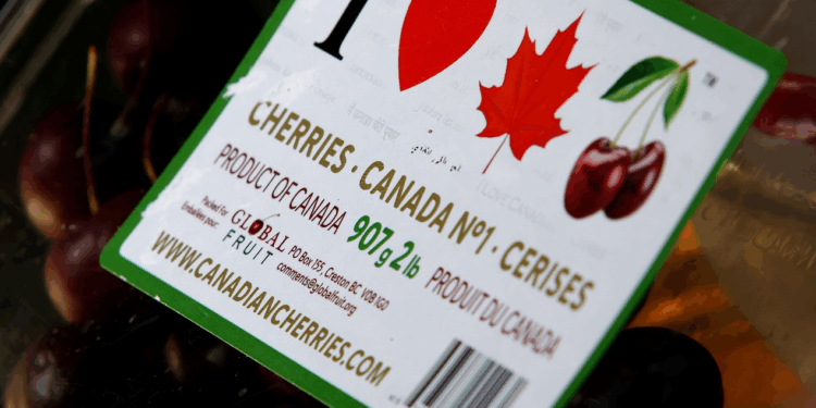 Canada Challenges US Tariffs and Puts the WTO to the Test