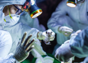 Panic grips Victoria Falls after Covid-19 case confirmed from town