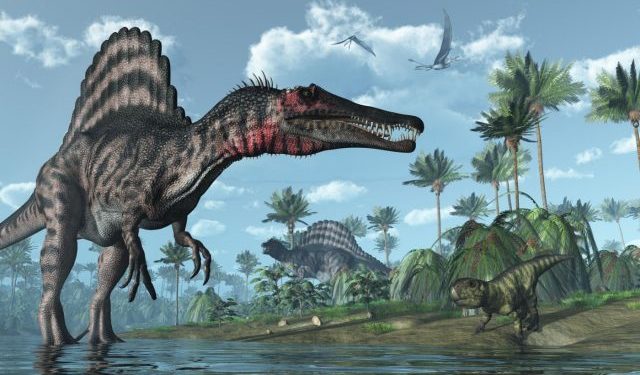 Fossil Discovery in Morocco Reveals Ancient African River