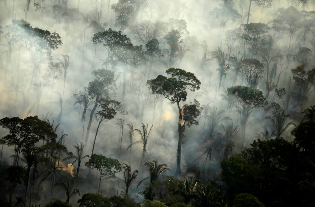 Brazil sends in troops to protect rainforest
