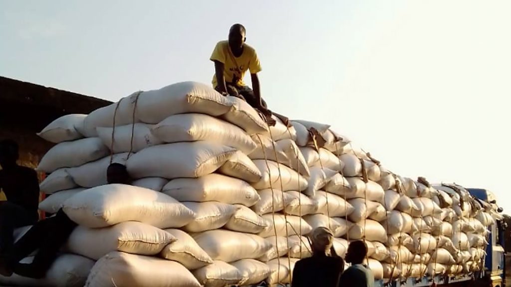 Benin Enhances Production and Export of Soybean Using Bio-fertilizers and Isotopic Technology