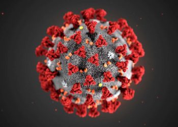Coronavirus: Nigeria records zero death as NCDC confirms 265 new cases of COVID-19