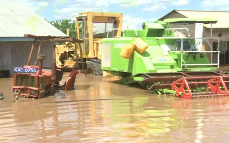 Kenya: Huge losses as floods destroy rice farms
