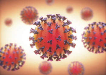South Africa's Biovac in talks to manufacture Covid-19 vaccines