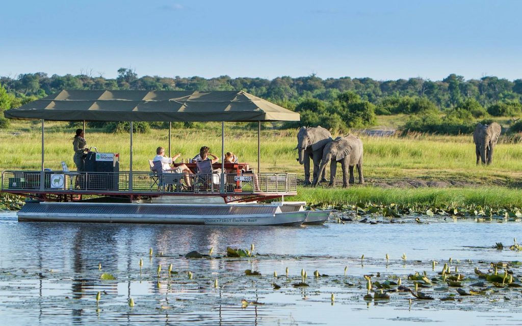 Chobe National Park, The Complete Guide