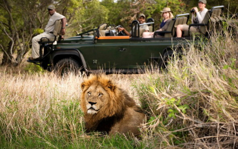 Kruger National Park Complete Guide South Africa