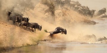 Masai Mara National Reserve in Kenya, Complete Guide