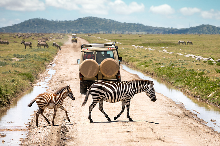 Serengeti National Park, Tanzania: Complete Guide