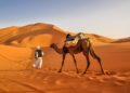 Weather in Morocco: Climate, Seasons and Average Temperature
