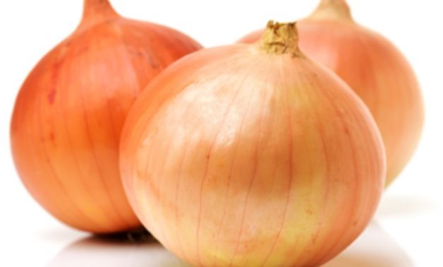 Egypt's onion exports rise by 20% in 2 months