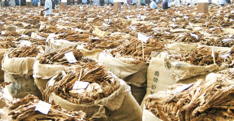 Malawi earns $173.5 million from tobacco in 2020