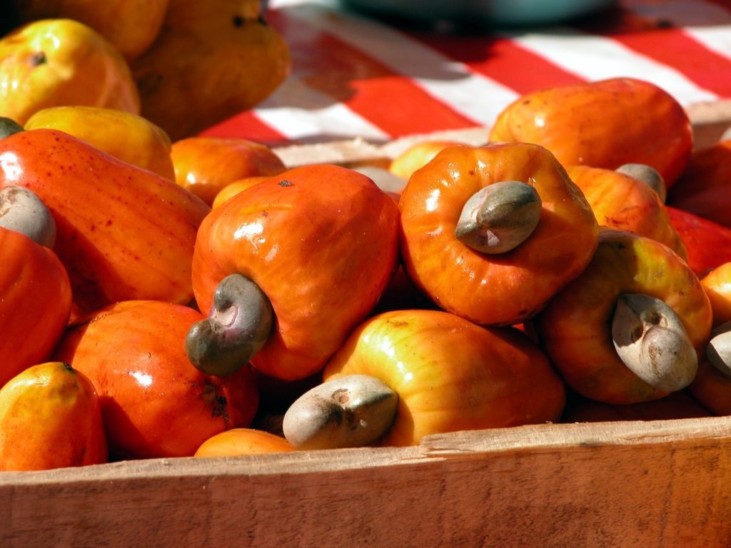 Ghana: Cashew farmers kick against govt-backed decision to set prices