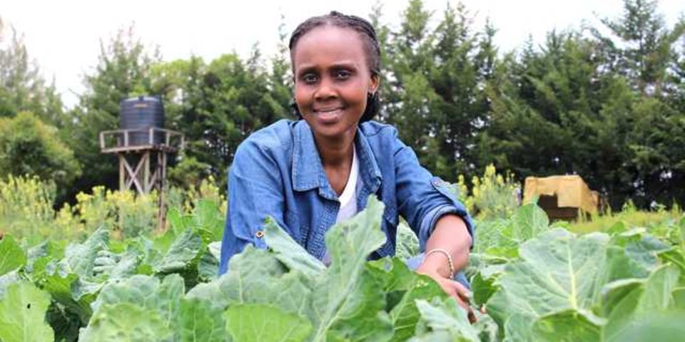 Kenya: We must innovate to boost agriculture, environment