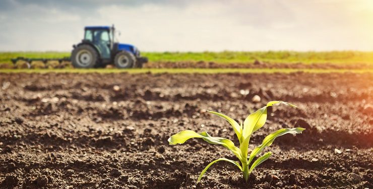 South Africa: Black farmer in Senekal: When I started, everyone thought I was crazy