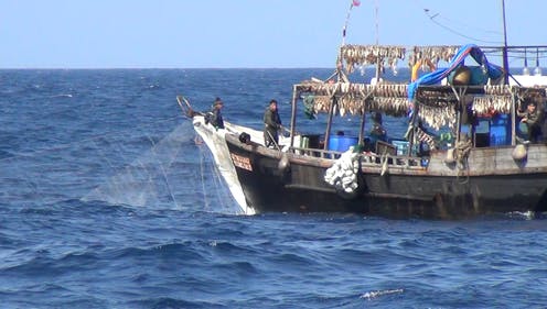 Ghana News: Chinese vessels abusing Ghana’s fishing laws, watchdog alleges