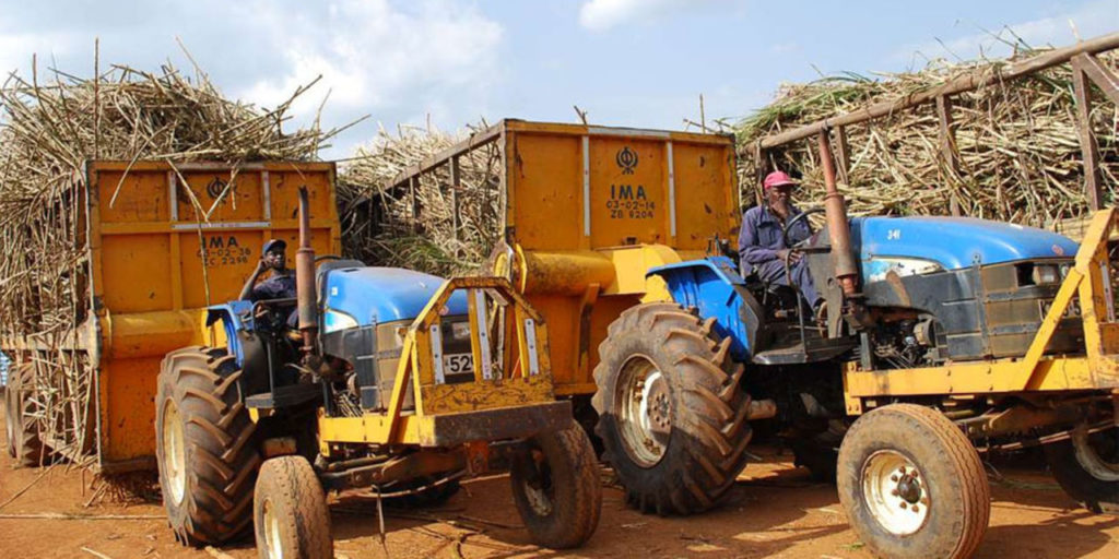 Kenya: MPs quash rules to shield farmers from cane cartels