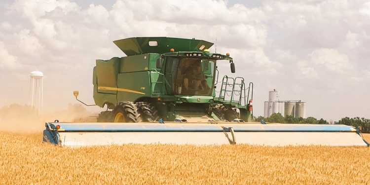South Africa: Large harvests and export markets pay off