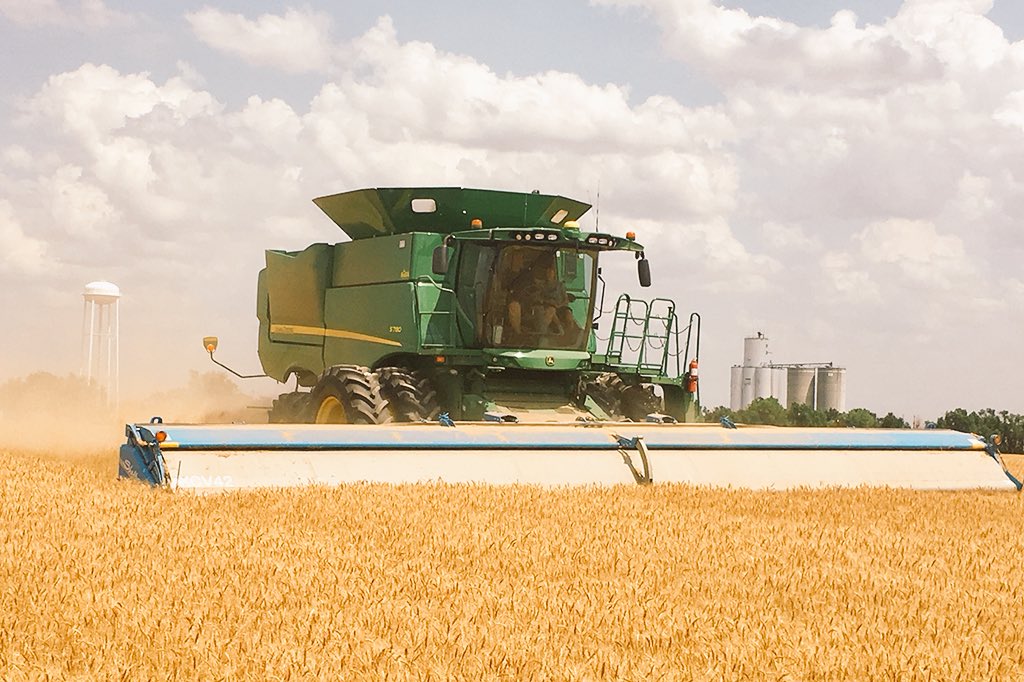 South Africa: Large harvests and export markets pay off