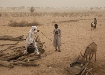UN: 29 million in Sahel need humanitarian assistance