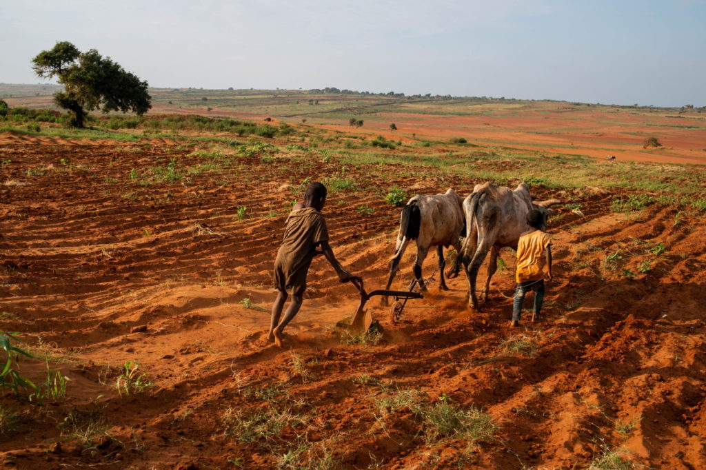 The WFP is appealing for $78 million in aid for southern Madagascar