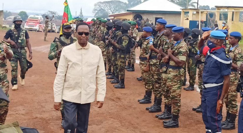 Cameroon: Defenceannounces a change in strategy against rebels